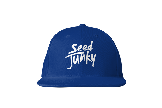 SJ LOGO SNAPBACK (BLUE)