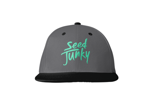 SJ LOGO SNAPBACK (GREY)