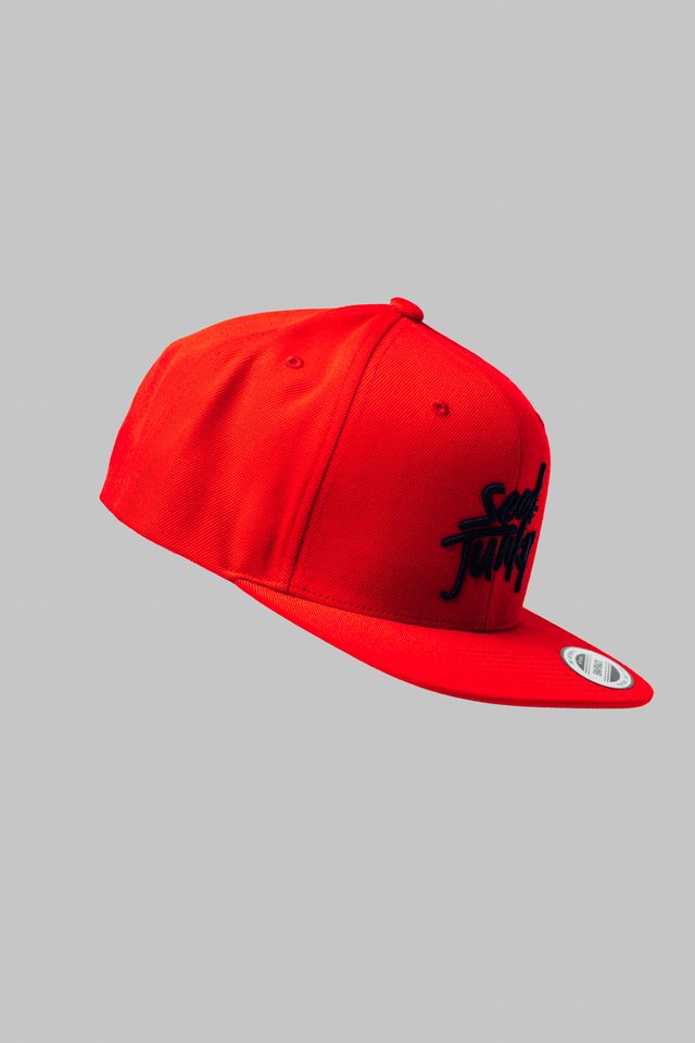 Red Seed Junky Snapback Hat