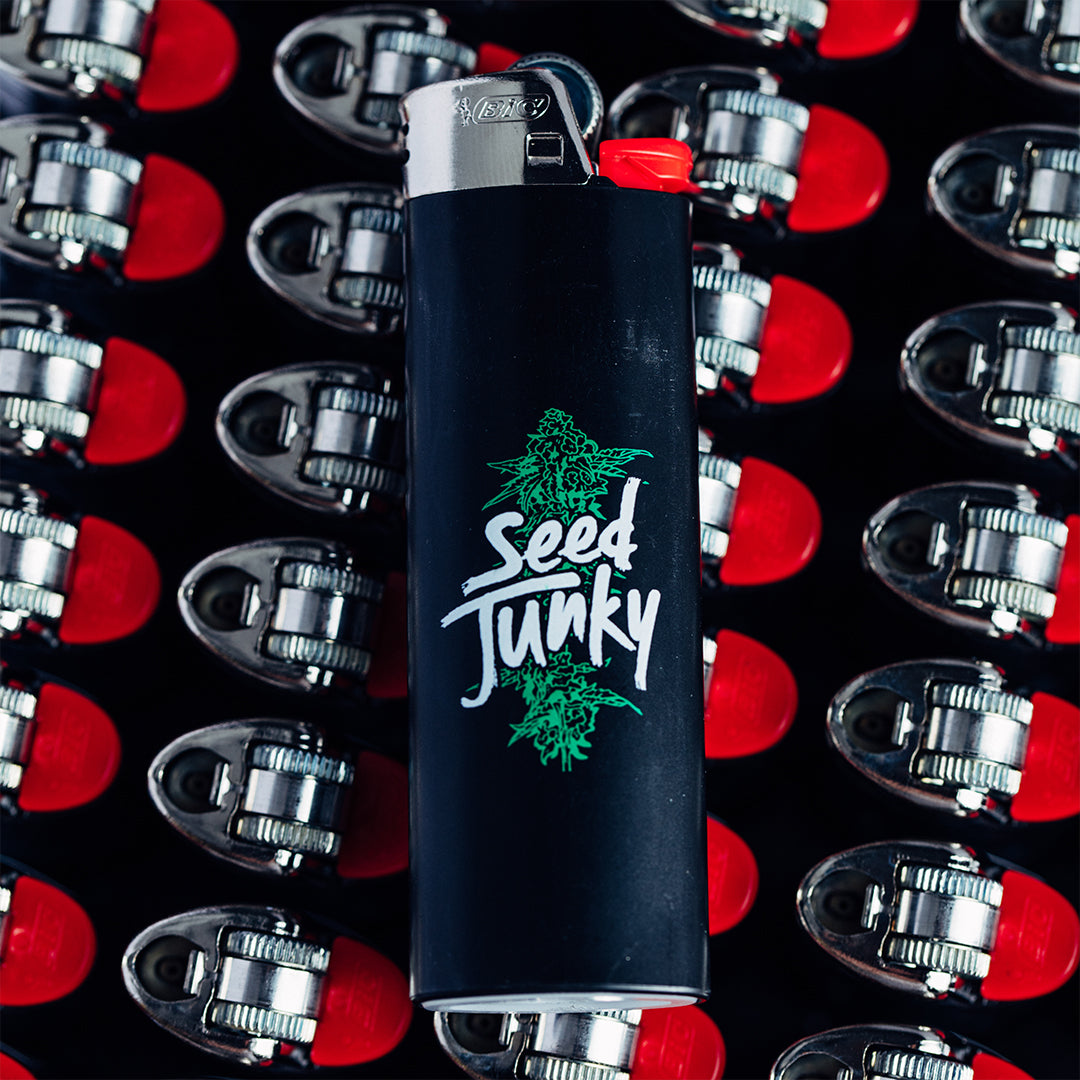 SJ Lighter with Cola