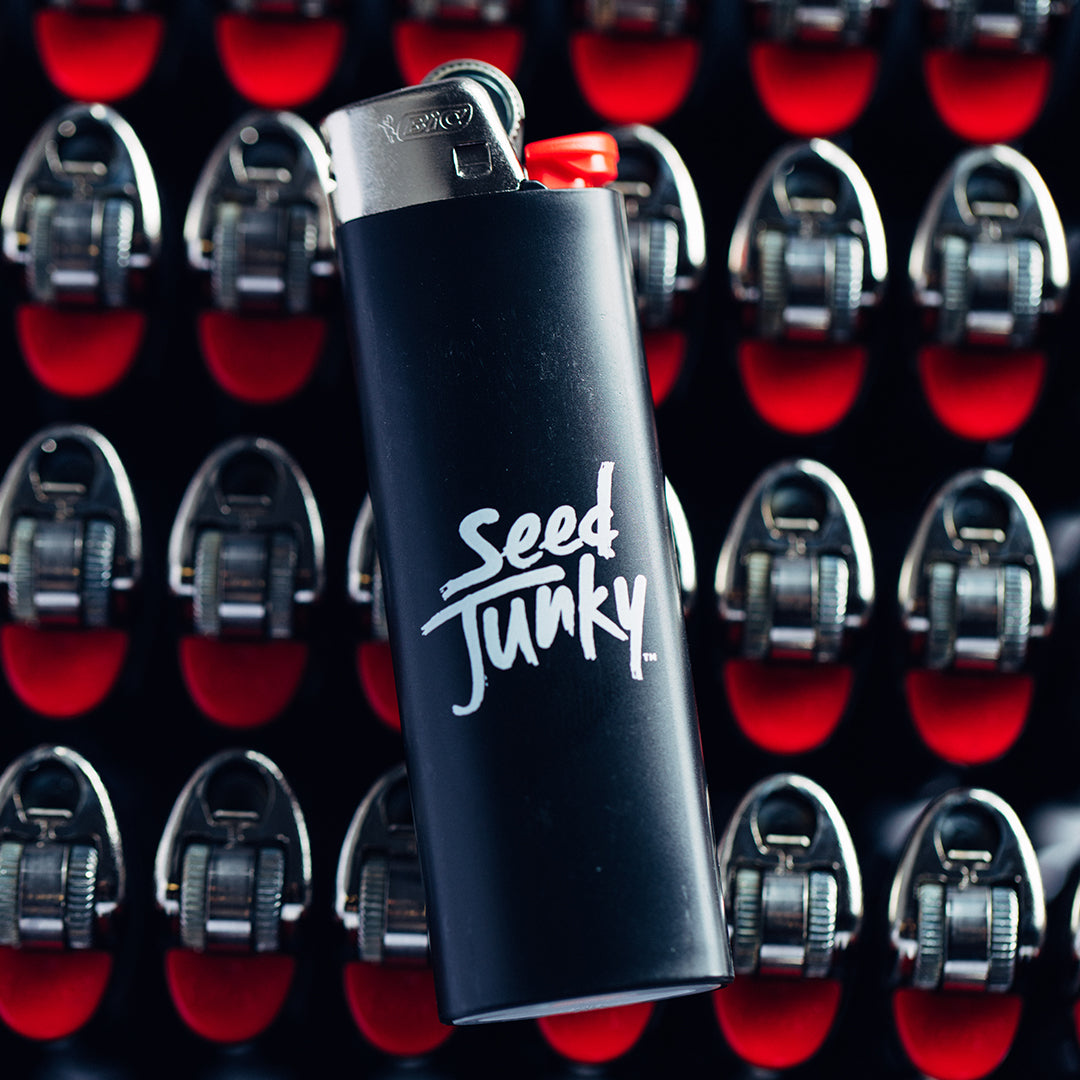 SJ Lighter