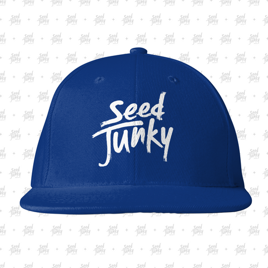 SJ LOGO SNAPBACK (BLUE)