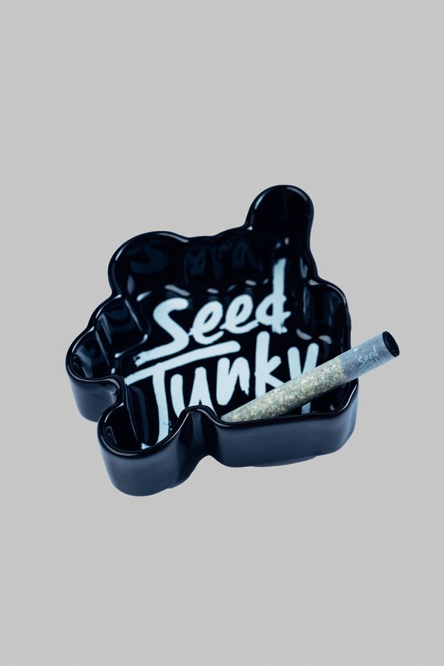 Black Ceramic Ashtray