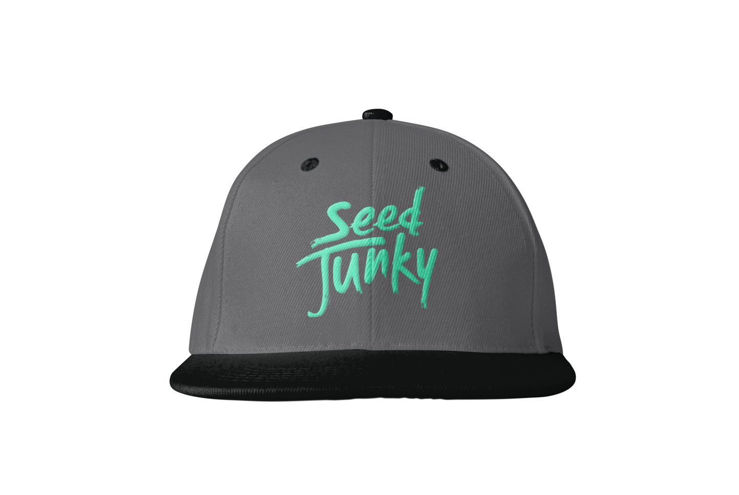 SJ LOGO SNAPBACK (GREY)